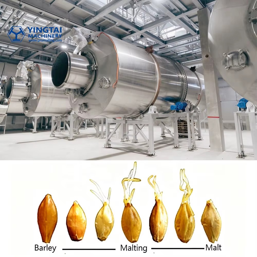 Yingtai Promalting System Compact Drum Craft Malting Equipment for All Malt-Processing Industries