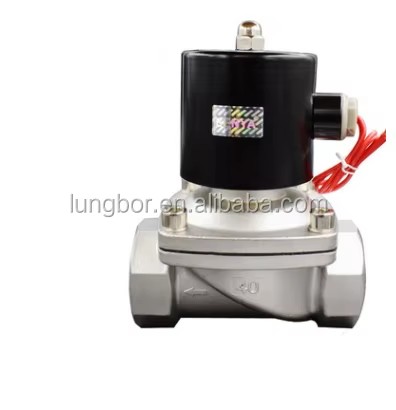 304 Stainless Steel Solenoid Valves Normally Closed Brass 2W Water Valve 220V 24V DN15 DN25 DN40 DN 50