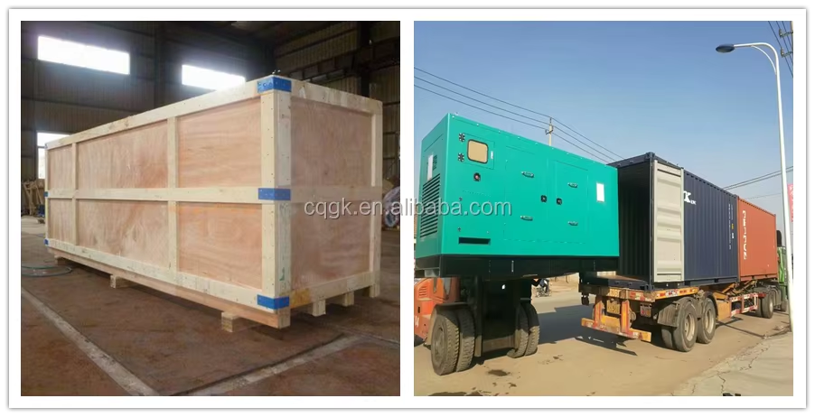 Cogeneration Combined Heat Power Electric Station Biogas Gas Power Generator 20kw