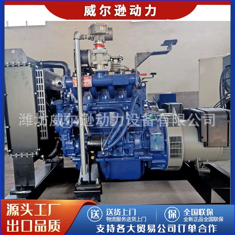 30kW Gas Generator Set Natural Gas Biogas Engine Power Equipment