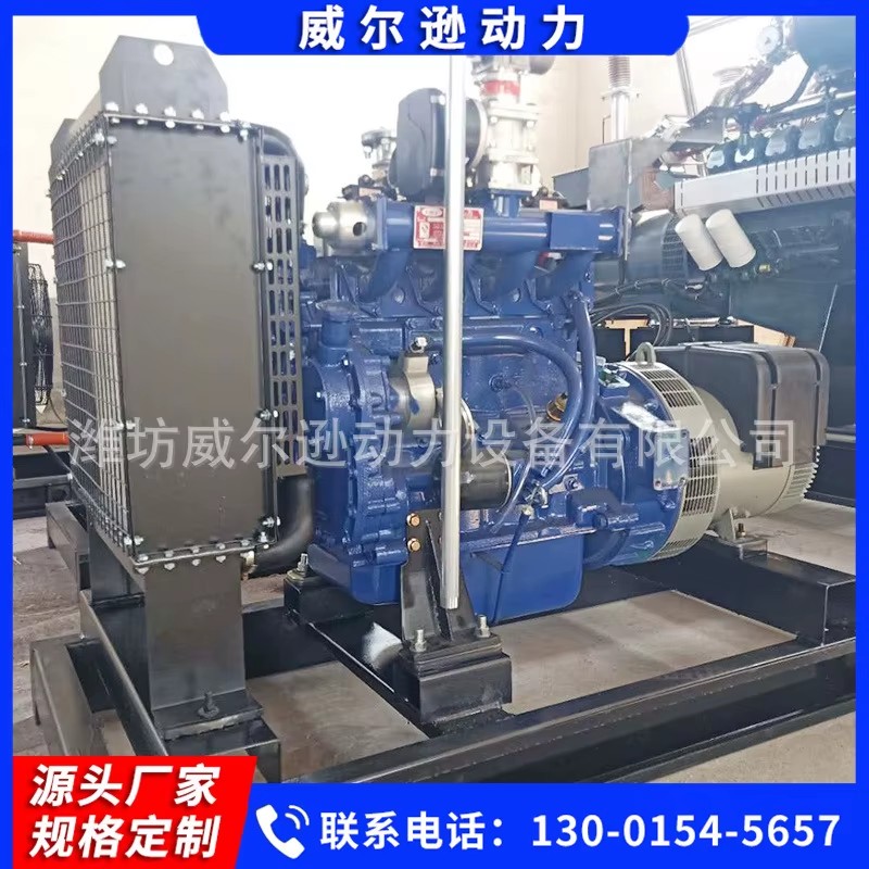 30kW Gas Generator Set Natural Gas Biogas Engine Power Equipment