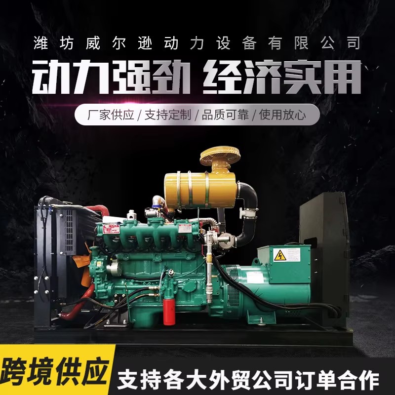 Weifang Gas Generator Set 20 30 50 75 100 120 150kw Natural Gas Biogas Three Phase