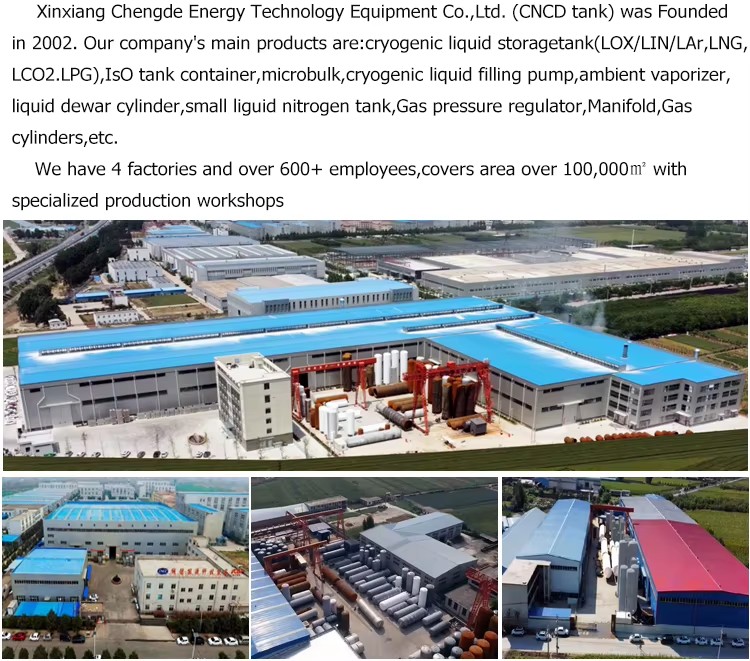 Industrial PSA Nitrogen Generator Plant 99 Percent Purity N2 Skid Mounted Gas Production Equipment for Oil Field Usage Supply