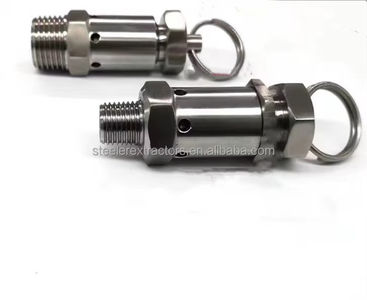Stainless Steel Pressure Reducing Valve With 1/4"NPT Mini Relief Valve for Solvent tank in Extraction