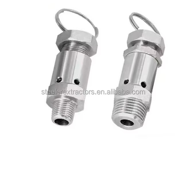 SS304 316L Stainless Steel Sanitary Steam Safety Valve Relief Valve