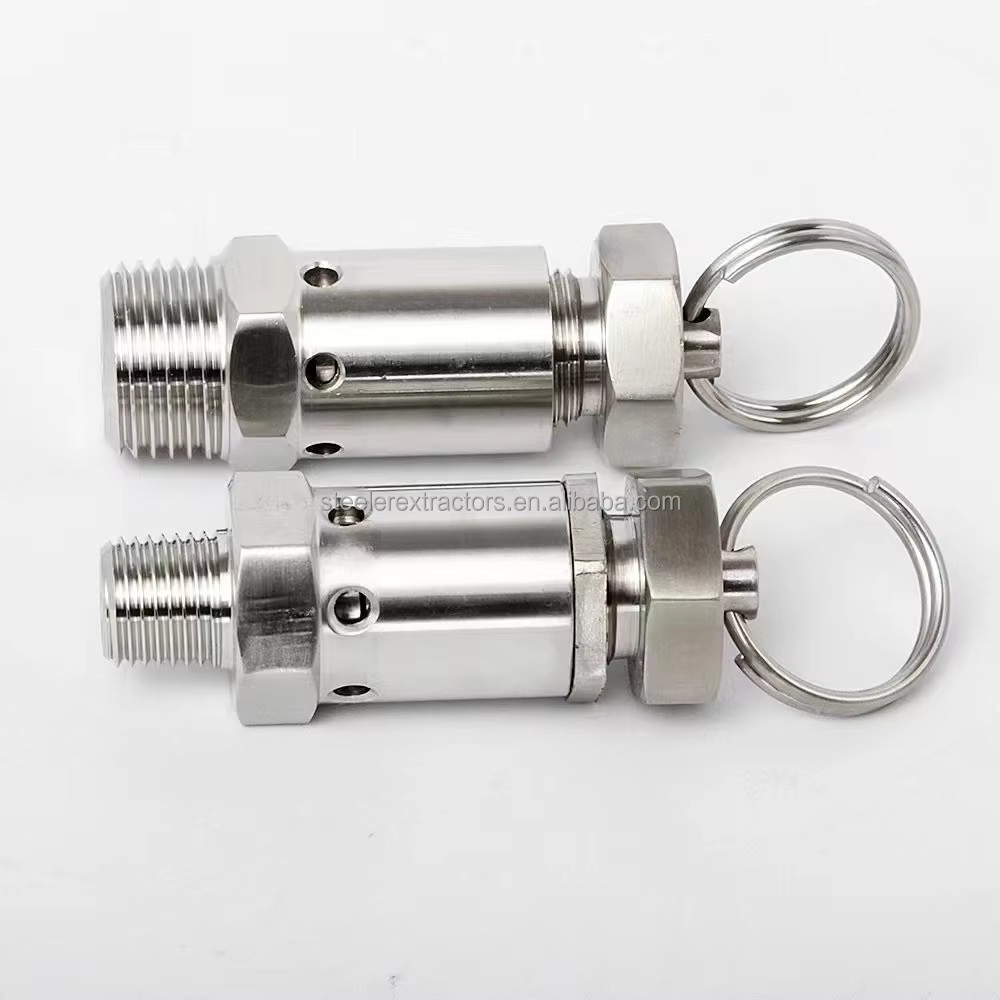 Mini Exhaust 1/4"1/2" BSPT NPT Male Thread Stainless Steel SS304 0.5-10Bar Pressure Relief Air Release Valves FKM Seat Seal