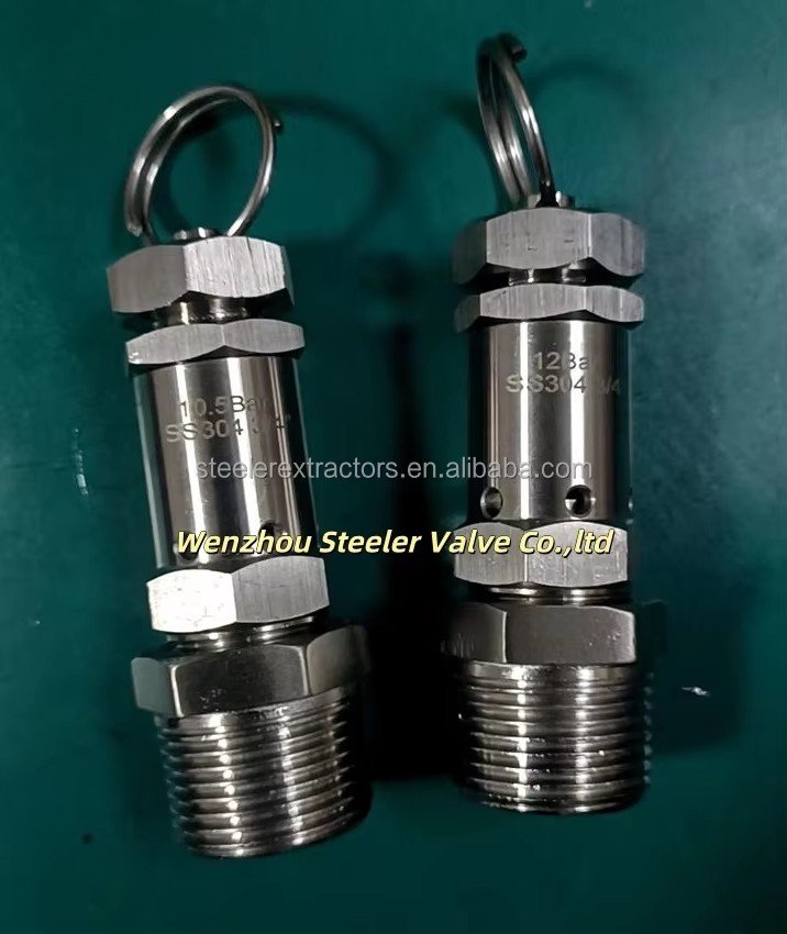 Relief Exhaust Valve Stainless Steel Pressure Reducing Valve With 1/4"NPT Mini Relief Valve for Solvent tank in Extraction