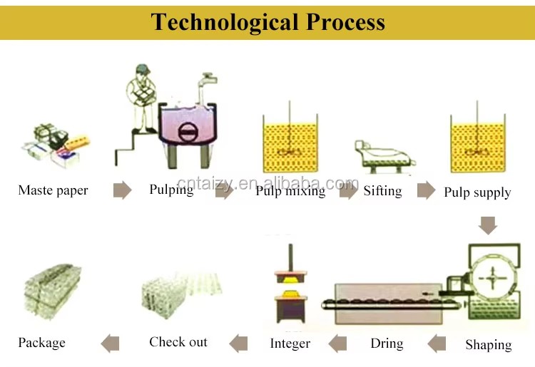 Pulp Egg Tray Machine / Recycling Waste Paper Egg Tray Making Machine / Equipment for the Production of Egg Carton