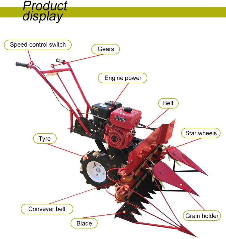 Gasoline Mini Paddy Rice and Wheat Cutting Machine /mini Soybean Harvester
