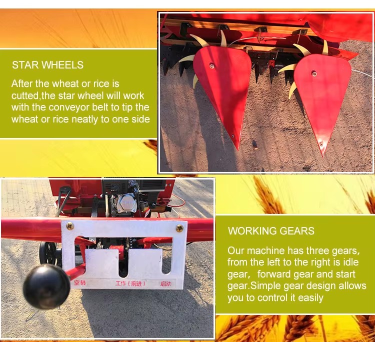 Gasoline Mini Paddy Rice and Wheat Cutting Machine /mini Soybean Harvester