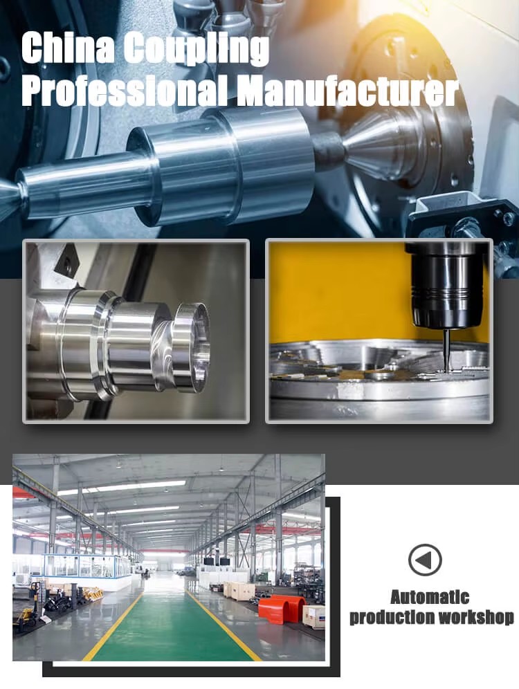 Custom OEM High Performance Steel Jaw Clutch Shaft Coupling