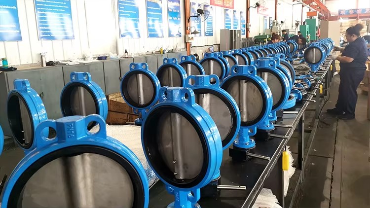 PN10 PN16 GGG50 Wafer & Lug Type Butterfly Valve, DN50-DN600 Resilient Seated Concentric Valve for Industrial Pipelines