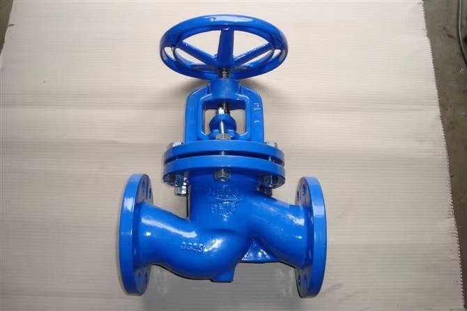 High Quality PN16 6 Inch Manual Globe Valve with Bellow Sealing Check Valve