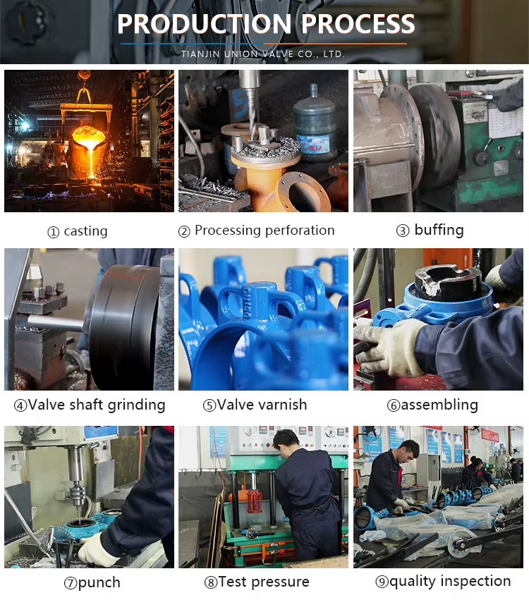 High Quality Full-Size Cast Iron Doubie Eccentric Butterfly Valve ODM Customization Support