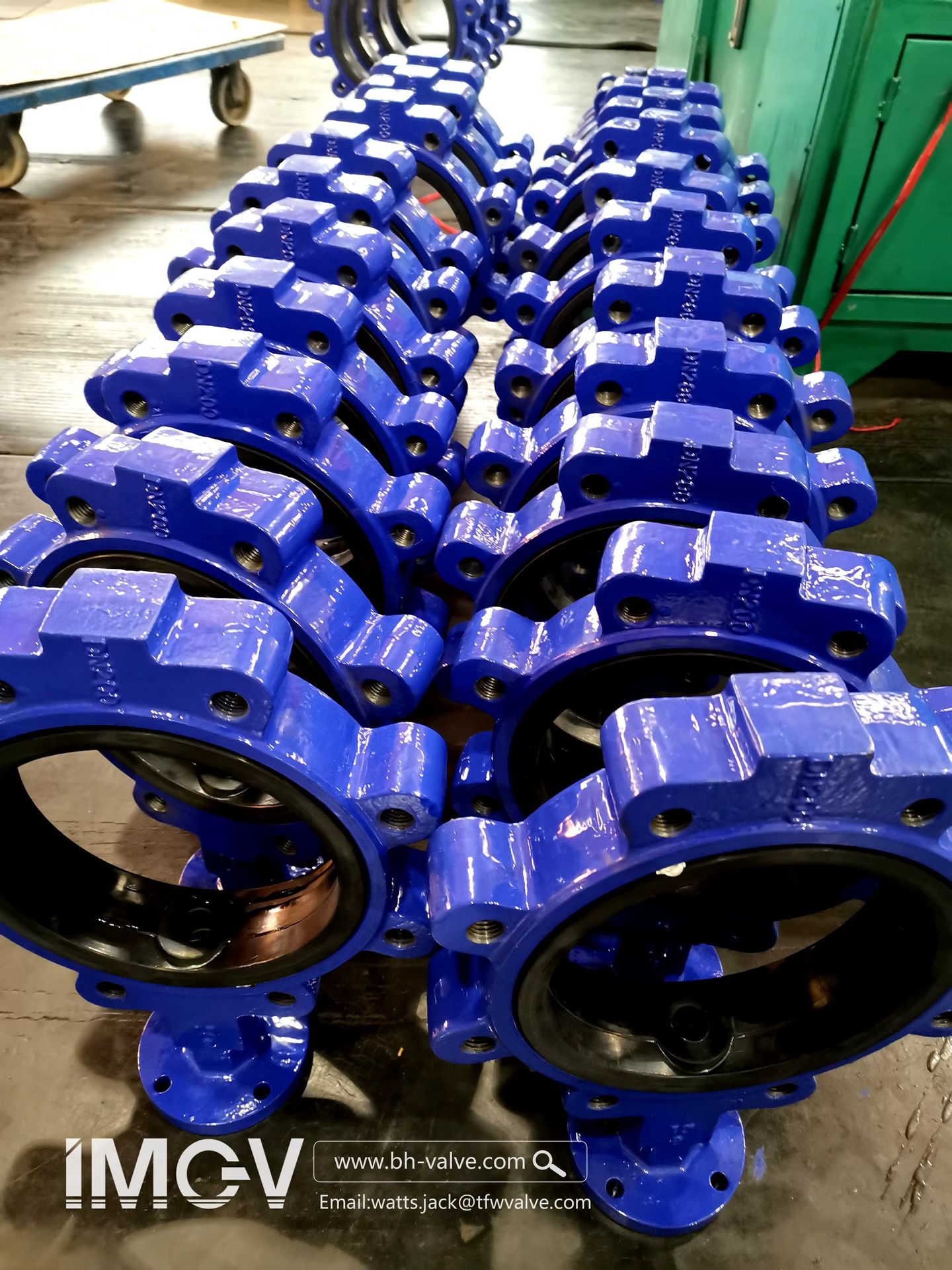 High Performance API609 4 Inch Manual Lug Type Cast Iron Butterfly Valve for Water ISO9001:2008 CE Certified