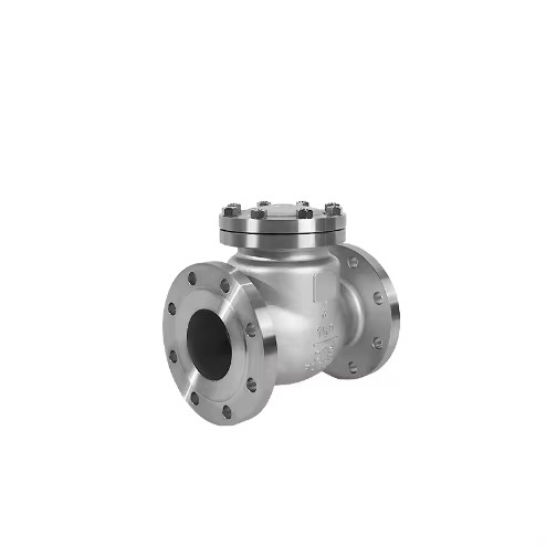 Swing Check Valve Stainless Steel Wenzhou High Resilient Sealing Manual Operated DN100 EPDM Flange Base ANSI/DIN/JIS Temperature