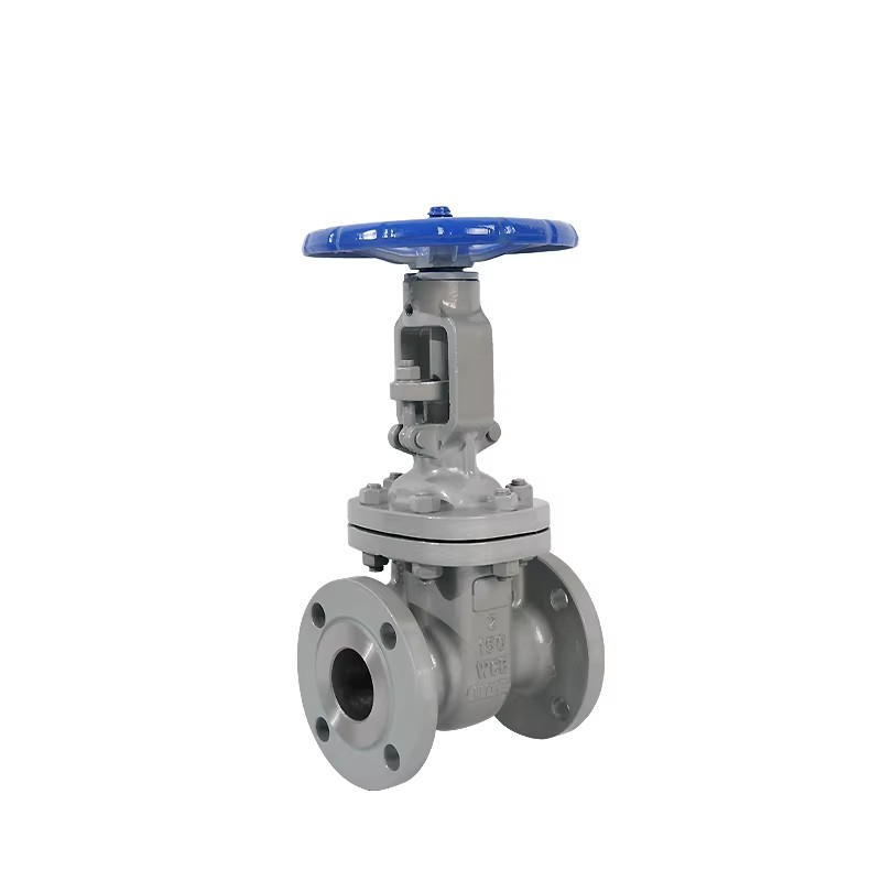 2inch CF8 Carbon Steel Flange Connection Gate Valve Model Z41WDN100CF8 Manual Power for Gas Oil & Water Stop Normal Temperature
