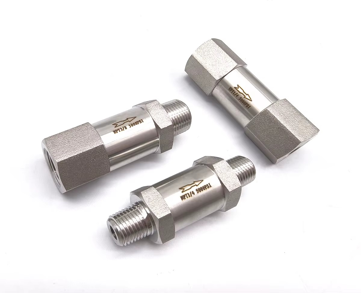 1/4 NPT Home Unidirectionnel Valve Stainless Steel Check Valve 304 Gaz En Acier Inoxydable Eau Huile Non-Retour 915 PSI Soupape