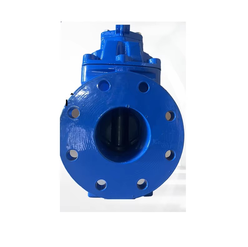 Flange Ductile Cast Iron Soft-Seal Resilient Seat Rising stem 200mm Gate Valve