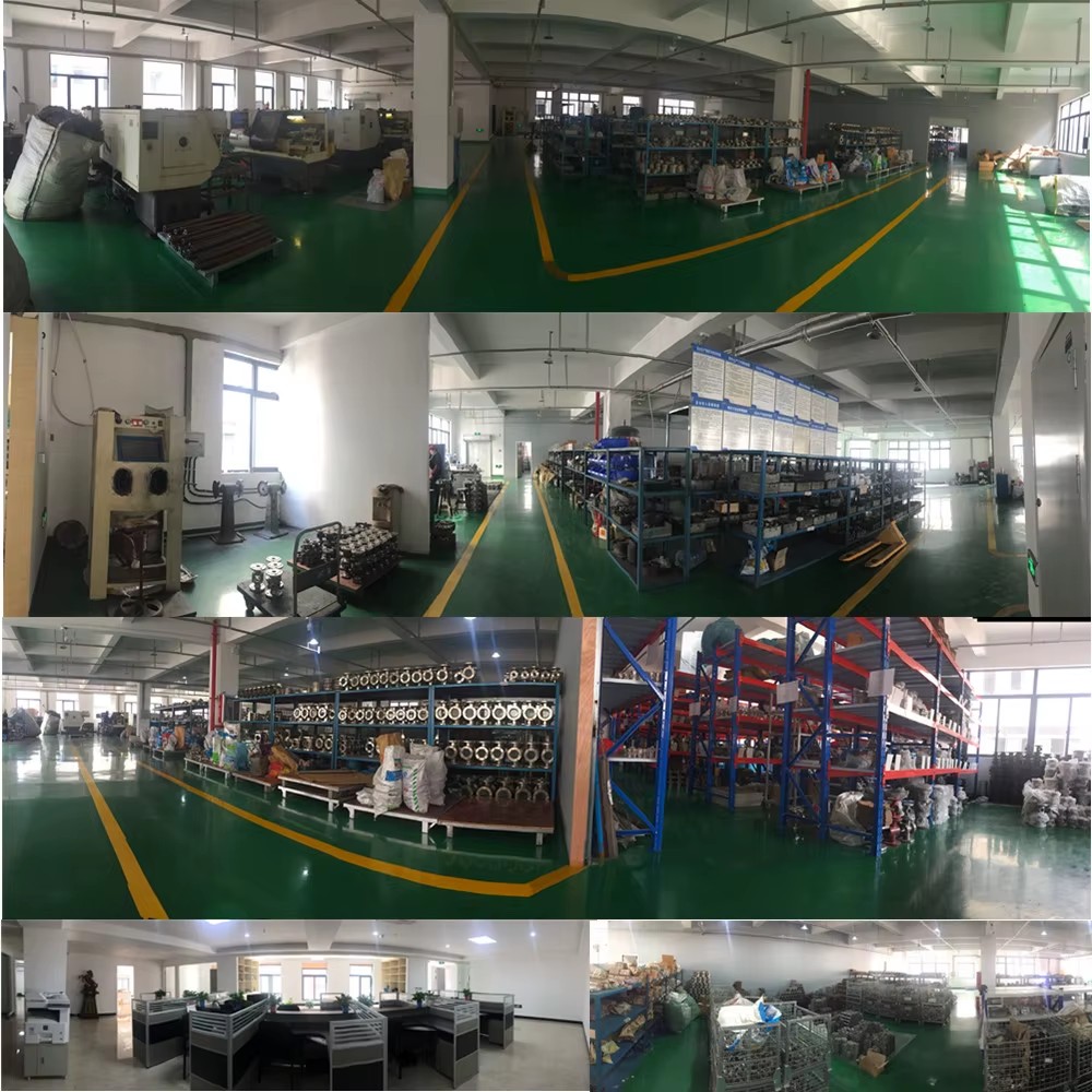 LSMSFI Factory Direct Visible Flow Sight Glass for Tanks
