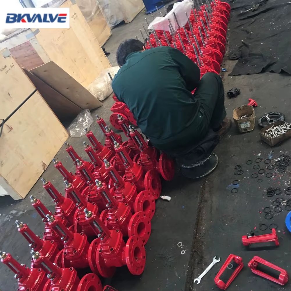 Dn100 Dn200 4 Inch 6 Inch 8 Inch Pn16 GGG40 Ductile Iron Full Bore Rising Stem Flange Gate Valve