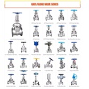 Product Importer Gallery 05 · 715a467a66
