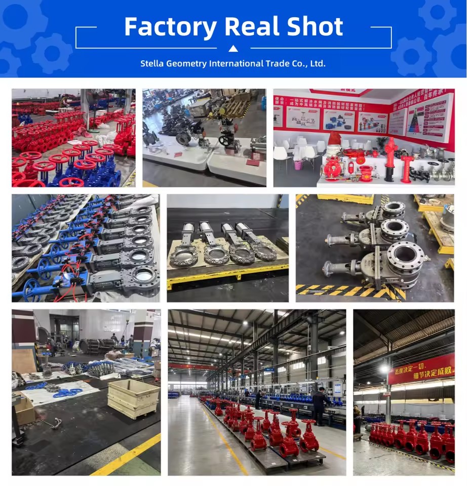 Product Importer Gallery 04 · 008f7155c9