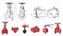 Product Importer Gallery 04 · 2f4e2ea7ac