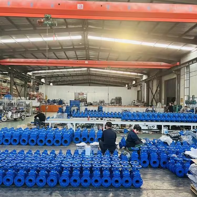 Product Importer Gallery 03 · 1d2002bf5e