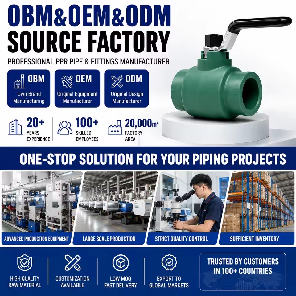 Product Importer Gallery 05 · 89e318869a