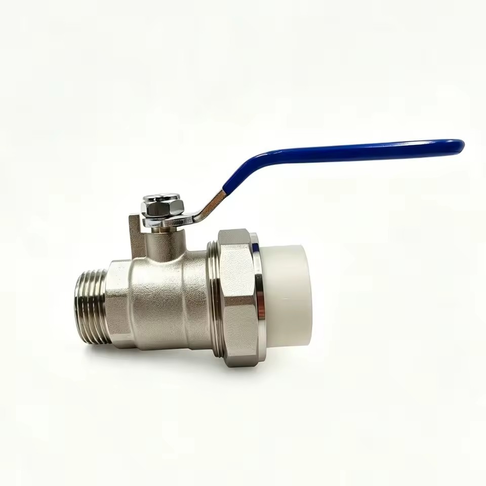 Product Importer Gallery 02 · 2fb8e81e9f