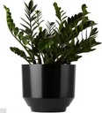 Product Importer Gallery 02 · e50012b4bb