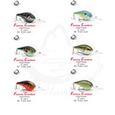 Product Importer Gallery 05 · e8bd472c10