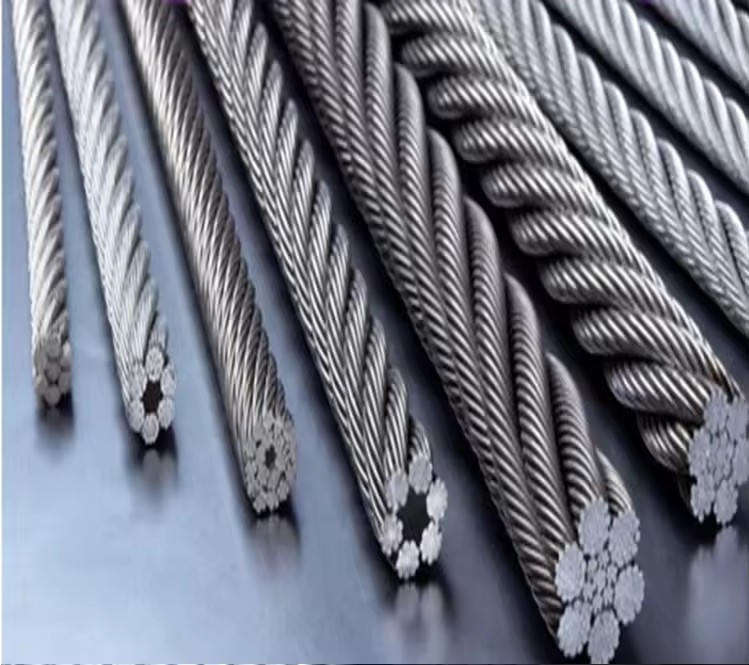 Product Importer Gallery 02 · 8ee5d92f59