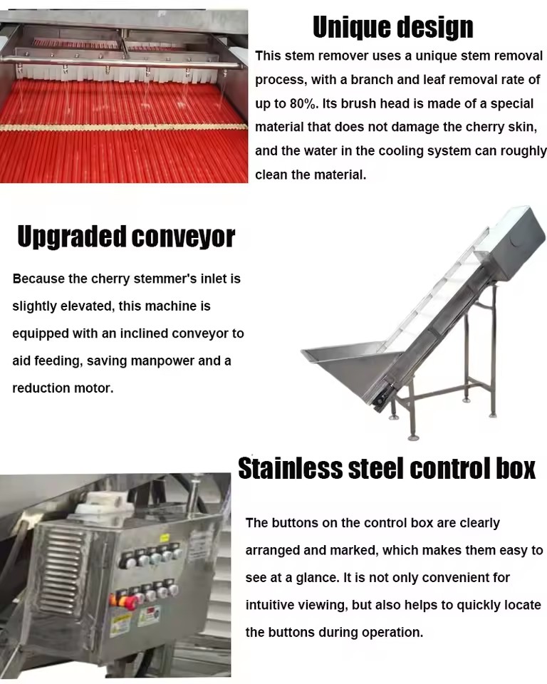 Product Importer Gallery 02 · 7e54c8cf4a