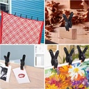 Product Importer Gallery 05 · 987846e885