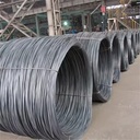 Product Importer Gallery 01 · 59092b5c57