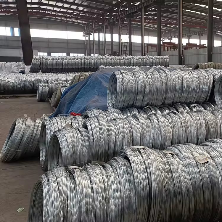 Product Importer Gallery 01 · d90ac7951f