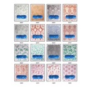 Product Importer Gallery 04 · 0593d0081b