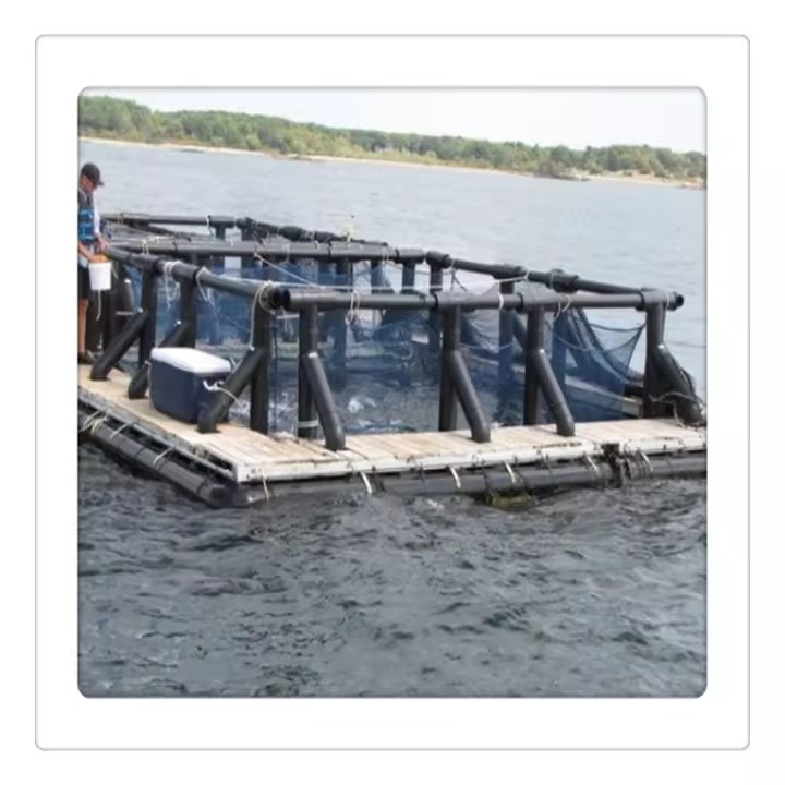 Product Importer Gallery 06 · 7138236b23