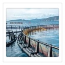 Product Importer Gallery 02 · 2eb46e1d75