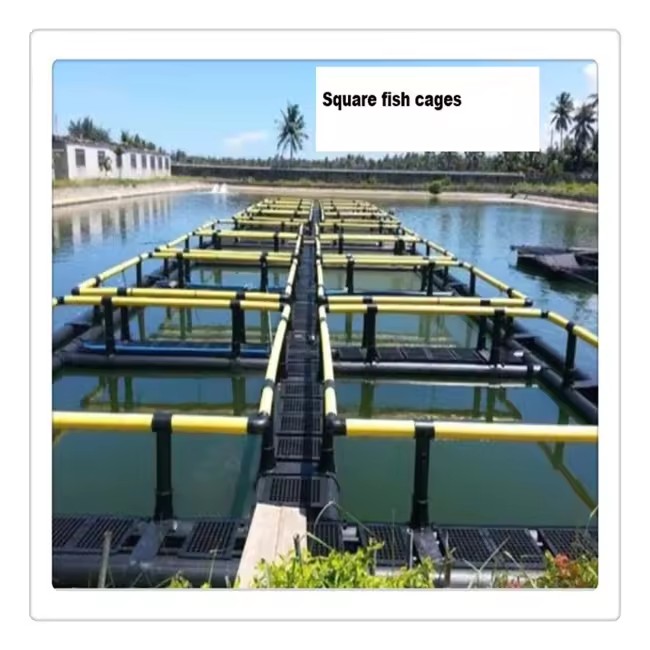 Product Importer Gallery 05 · dcdc651f10