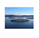 Product Importer Gallery 06 · 46c4793376