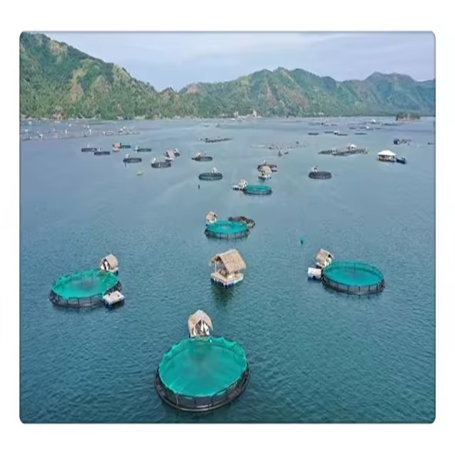Product Importer Gallery 01 · 45e2534096