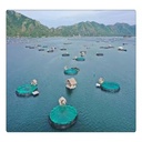 Product Importer Gallery 01 · 45e2534096