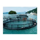 Product Importer Gallery 04 · 32f8489cef