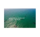 Product Importer Gallery 05 · 82f89566c7