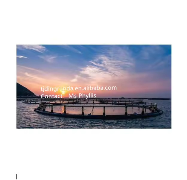 Product Importer Gallery 05 · b5153488e7