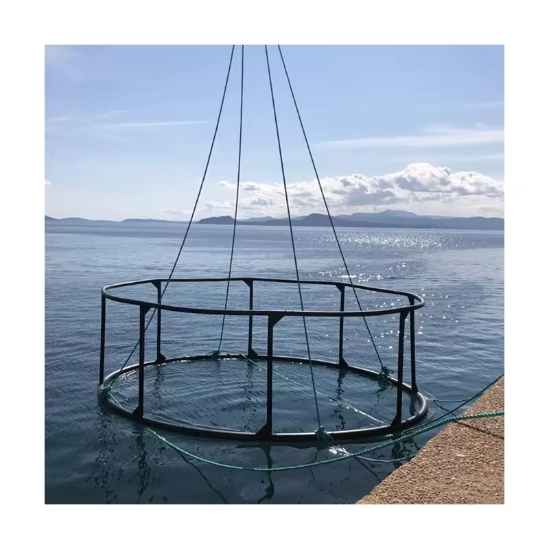 Product Importer Gallery 05 · da1f1d7ffa