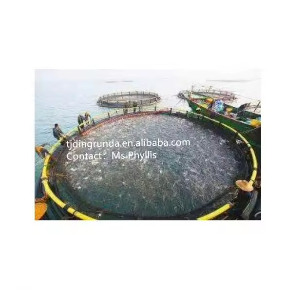 Product Importer Gallery 01 · 53b88258bf